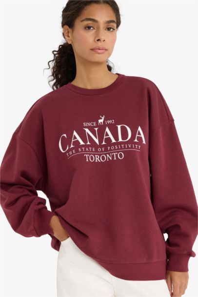 Sweatshirt oversize imprimé en tissu épais à col rond