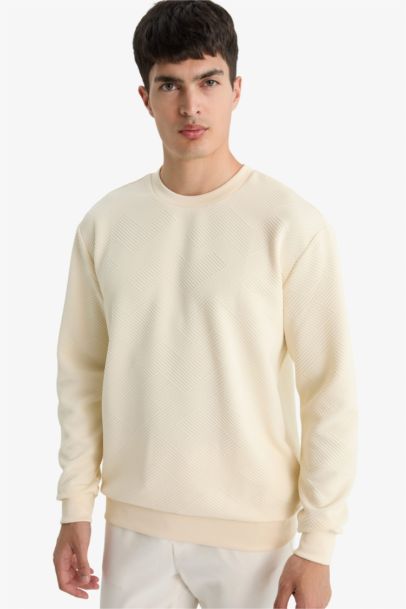 سويت شيرت قصة عادية برقبة مستديرة