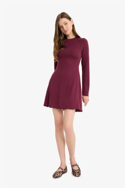 Crew Neck Long Sleeve Mini Dress
