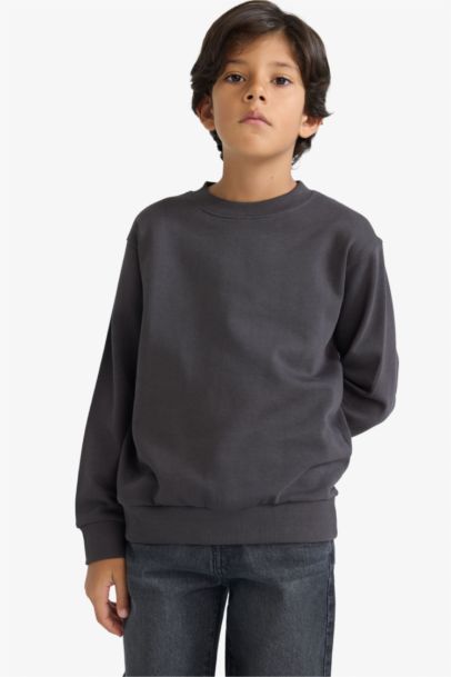 Boy Regular Fit Crew Neck Basic Sweatshirt
