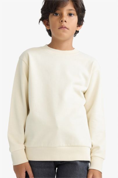 Boy Regular Fit Crew Neck Basic Sweatshirt