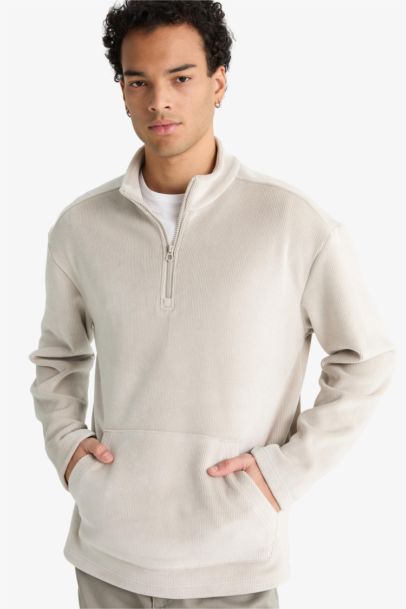 Regular Fit Stand Collar Half Zippered Velvet Sweatshirt