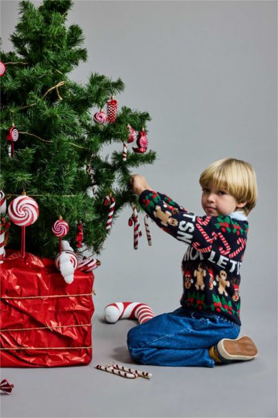 Baby Boy Regular Fit Pullover