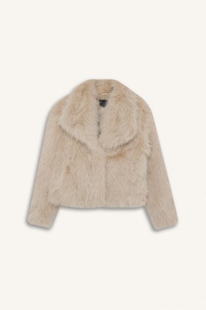 Regular Fit Faux Fur Jacket