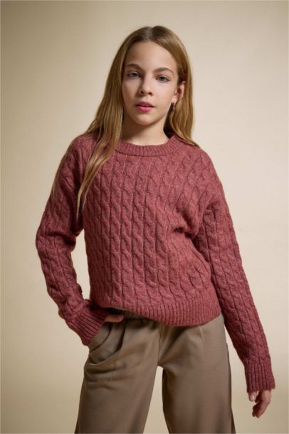 Girl Regular Fit Crew Neck Knit Pullover