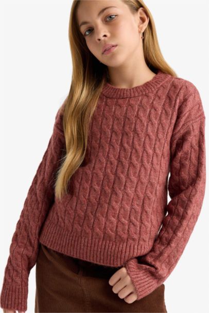 Girl Regular Fit Crew Neck Knit Pullover