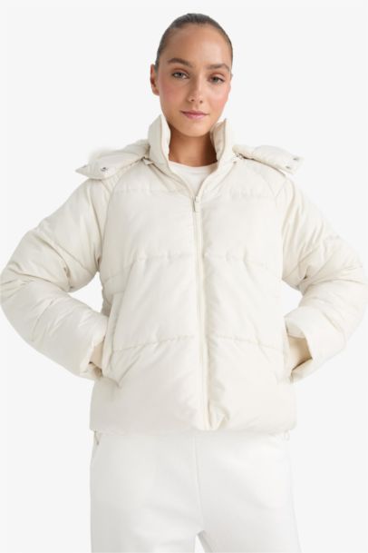 Windproof Regular Fit Hooded Puffer Jacket