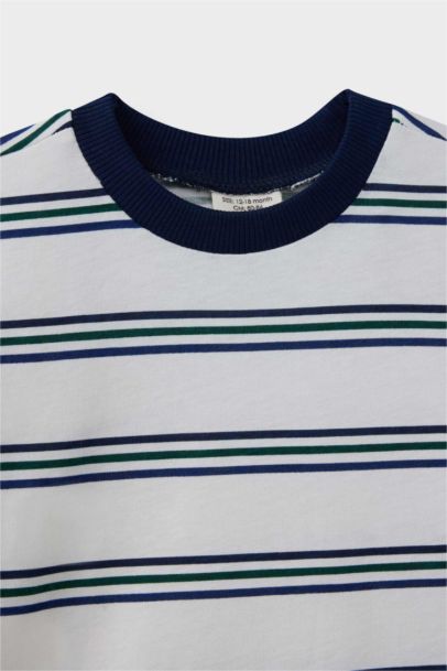 Baby Boy Crew Neck Striped T-Shirt
