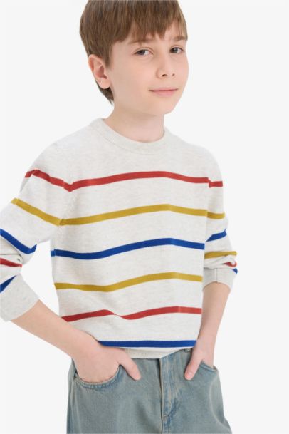 Boy Regular Fit Crew Neck Pullover