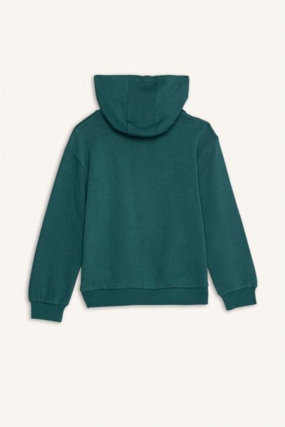 Girl Regular Fit Hooded Sweatshirt