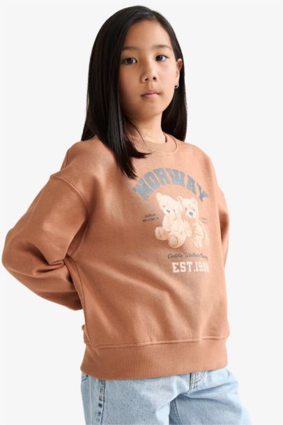 Relax Fit Bisiklet Yaka Baskılı İçi Yumuşak Tüylü Sweatshirt Kız Çocuk