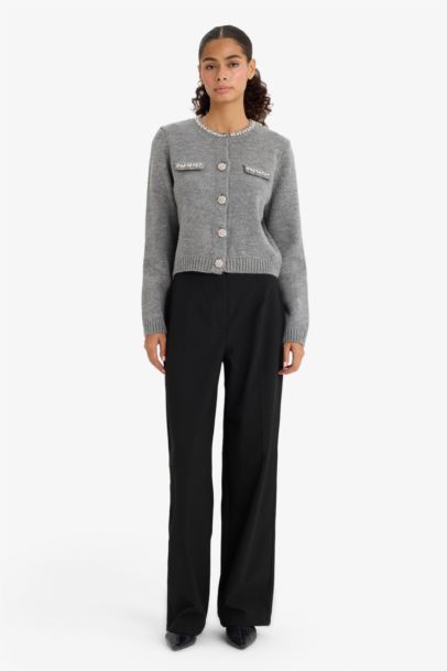 Regular Fit Bisiklet Yaka İşlemeli Triko Hırka