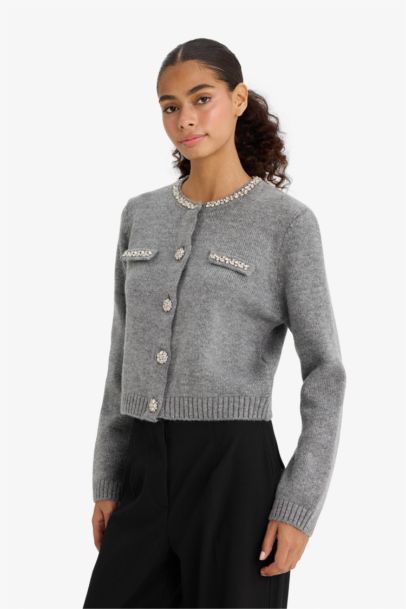 Regular Fit Bisiklet Yaka İşlemeli Triko Hırka