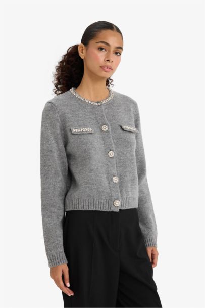 Regular Fit Bisiklet Yaka İşlemeli Triko Hırka