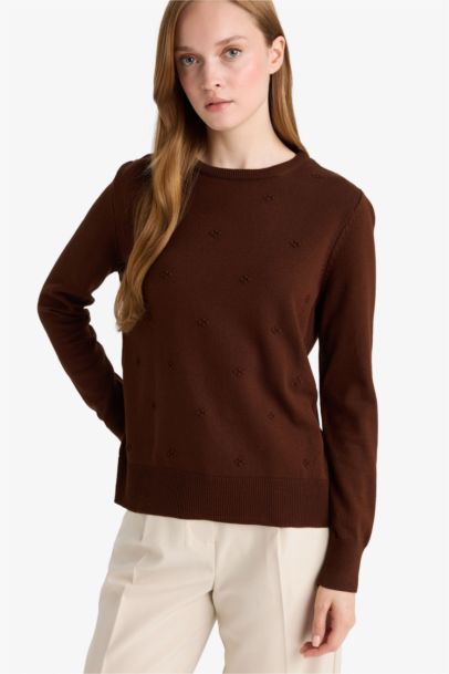 Regular Fit Crew Neck Knitwear Pullover