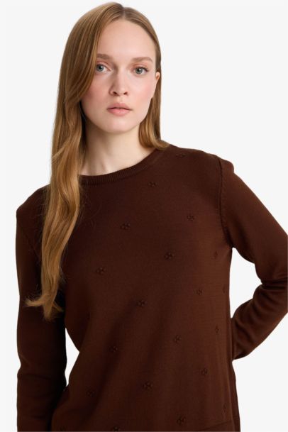 Regular Fit Crew Neck Knitwear Pullover