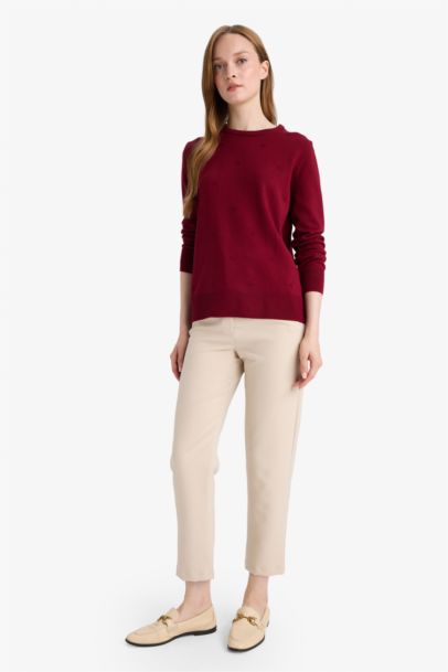 Regular Fit Crew Neck Knitwear Pullover