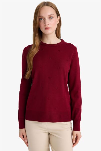 Regular Fit Crew Neck Knitwear Pullover