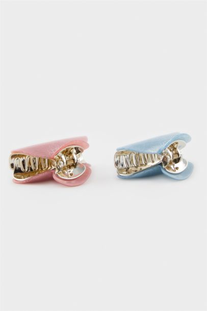 Woman 2 Piece Hair Clips