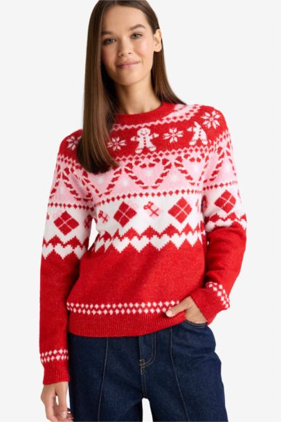 Christmas Themed Regular Fit Color Block Pullover