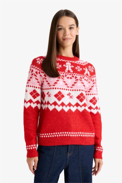Christmas Themed Regular Fit Color Block Pullover