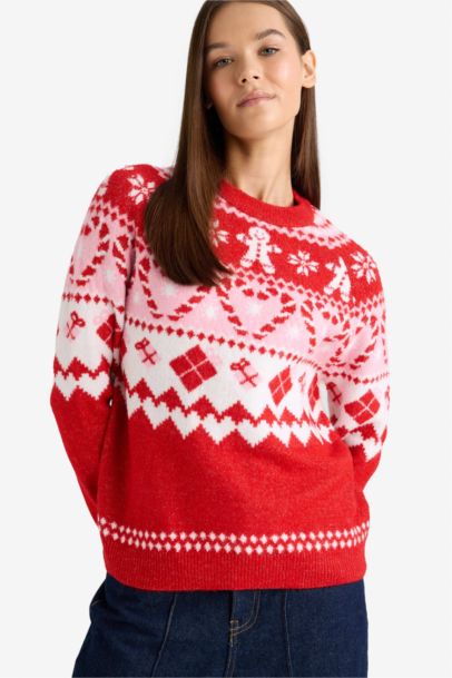 Christmas Themed Regular Fit Color Block Pullover