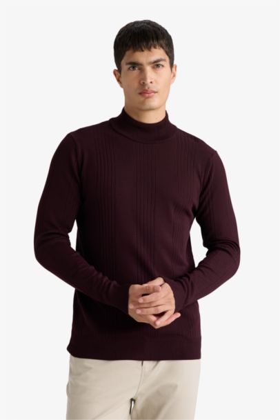 Standard Fit Turtleneck Knitwear Pullover