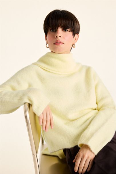 Regular Fit Half Turtleneck Pullover