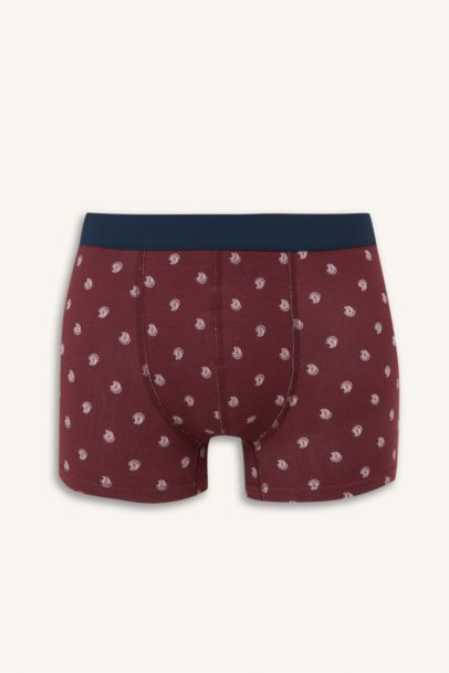 Lot de 3 Boxers à motif cachemire Coupe régulière