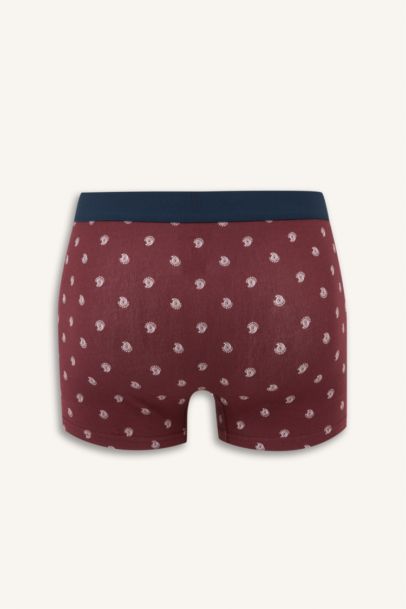 Lot de 3 Boxers à motif cachemire Coupe régulière