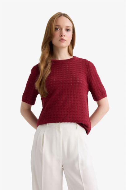 Regular Fit Crew Neck Short Sleeve Knitwear Pullover