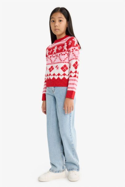 Girl Christmas Themed Regular Fit Crew Neck Pullover