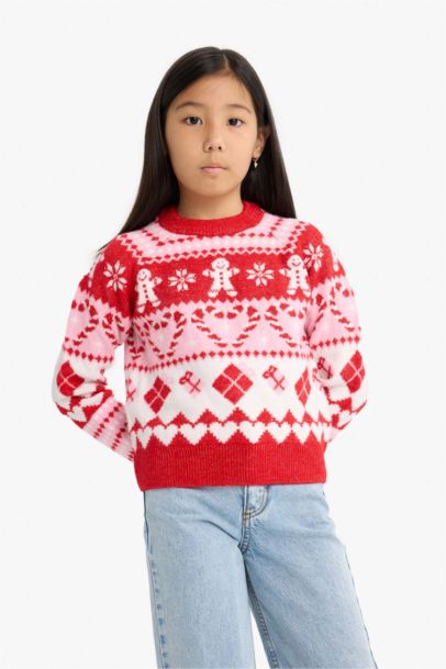 Girl Christmas Themed Regular Fit Crew Neck Pullover