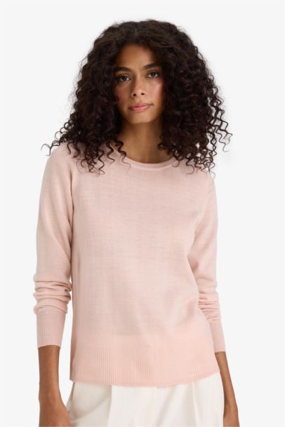 Regular Fit Crew Neck Basic Pullover