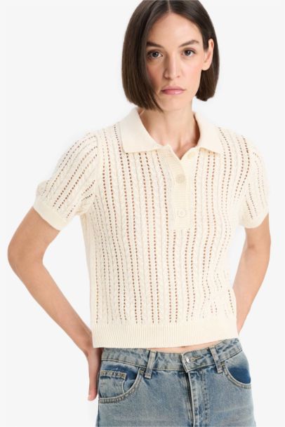 Pull tricot ajouré à col polo Coupe régulière