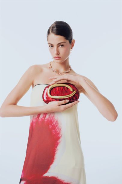 DCEY x DeFacto Kadın Sedef Görünümlü El Çantası