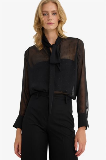 Regular Fit Long Sleeve Blouse