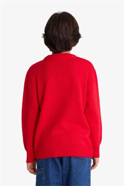 Boy Regular Fit Crew Neck Christmas Tricot Pullover