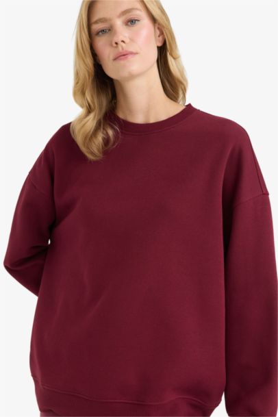 Oversize Fit Basic Thick Fabric Sweatshirt