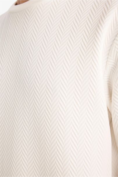 سويت شيرت قصة عادية بياقة مستديرة