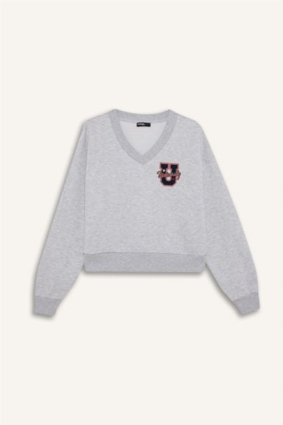 Loose Fit Sweatshirt