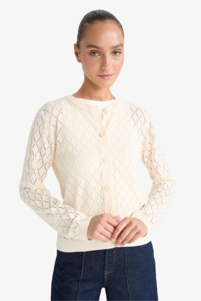 Regular Fit Crew Neck Openwork Knit Cardigan