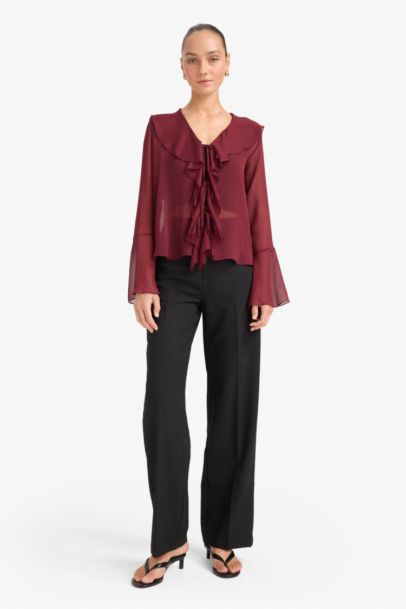 Regular Fit V-Neck Chiffon Long Sleeve Blouse