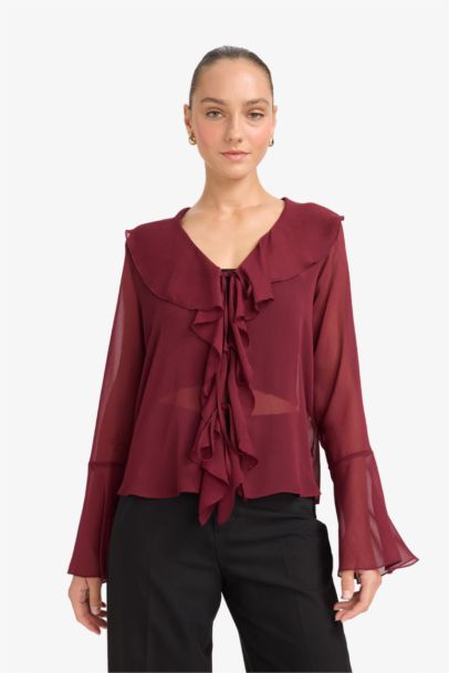Regular Fit V-Neck Chiffon Long Sleeve Blouse