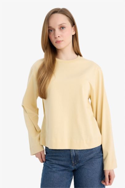 Regular Fit Crew Neck Long Sleeve Tunic