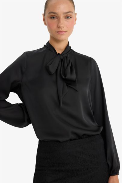 Regular Fit V-Neck Satin Blouse