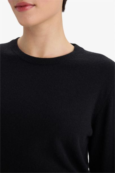 Regular Fit Crew Neck Knitwear Pullover