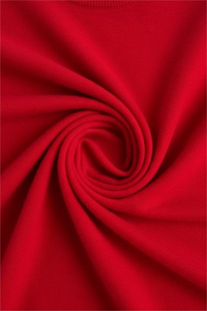 Regular Fit Crew Neck Knitwear Pullover