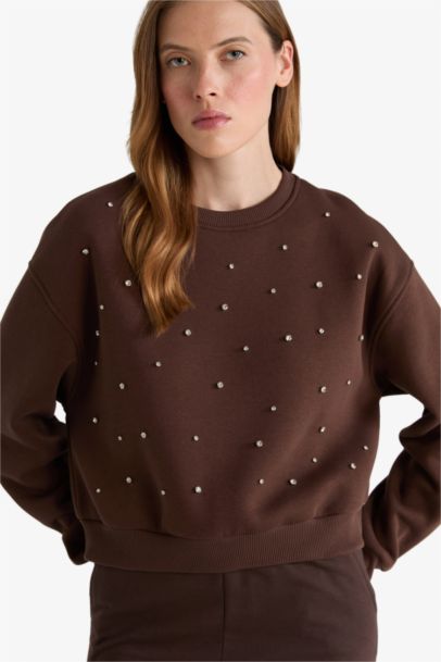Boxy Fit Embroidered Long Sleeve Sweatshirt