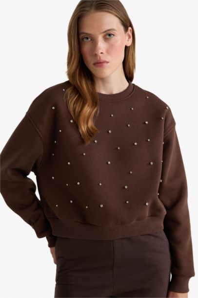 Boxy Fit Embroidered Long Sleeve Sweatshirt